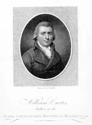 William Curtis, graviert von F. Sansom, 1790